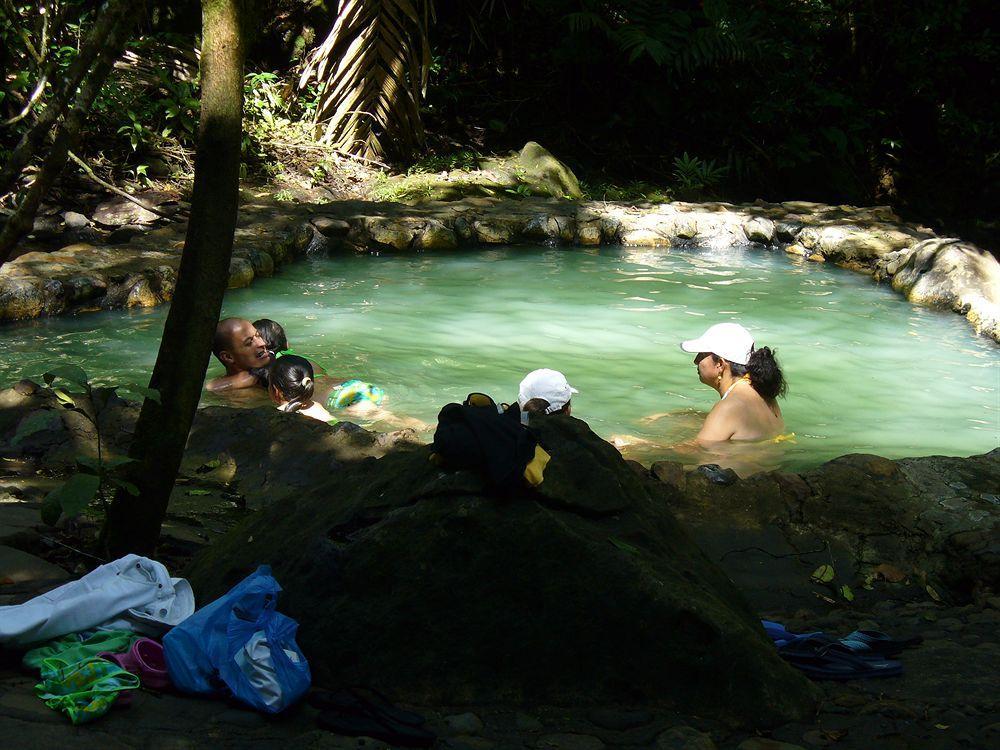 Termales Del Bosque & Hot Springs Hotel La Marina Kültér fotó