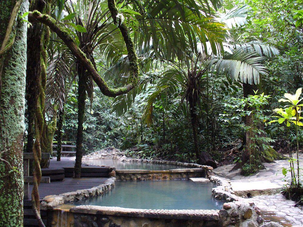 Termales Del Bosque & Hot Springs Hotel La Marina Kültér fotó