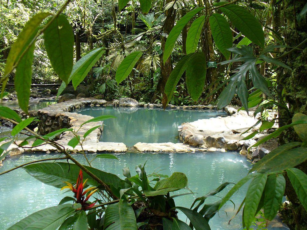 Termales Del Bosque & Hot Springs Hotel La Marina Kültér fotó
