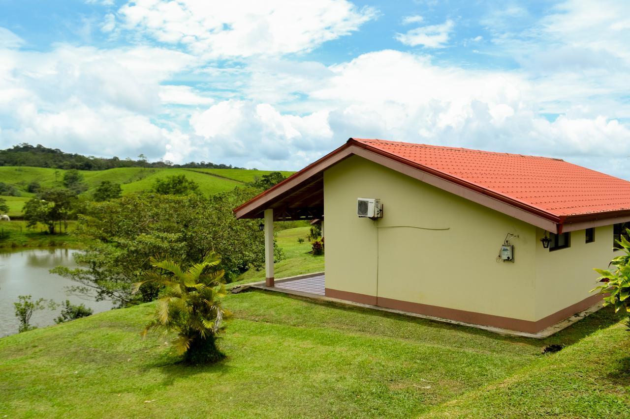 Termales Del Bosque & Hot Springs Hotel La Marina Kültér fotó