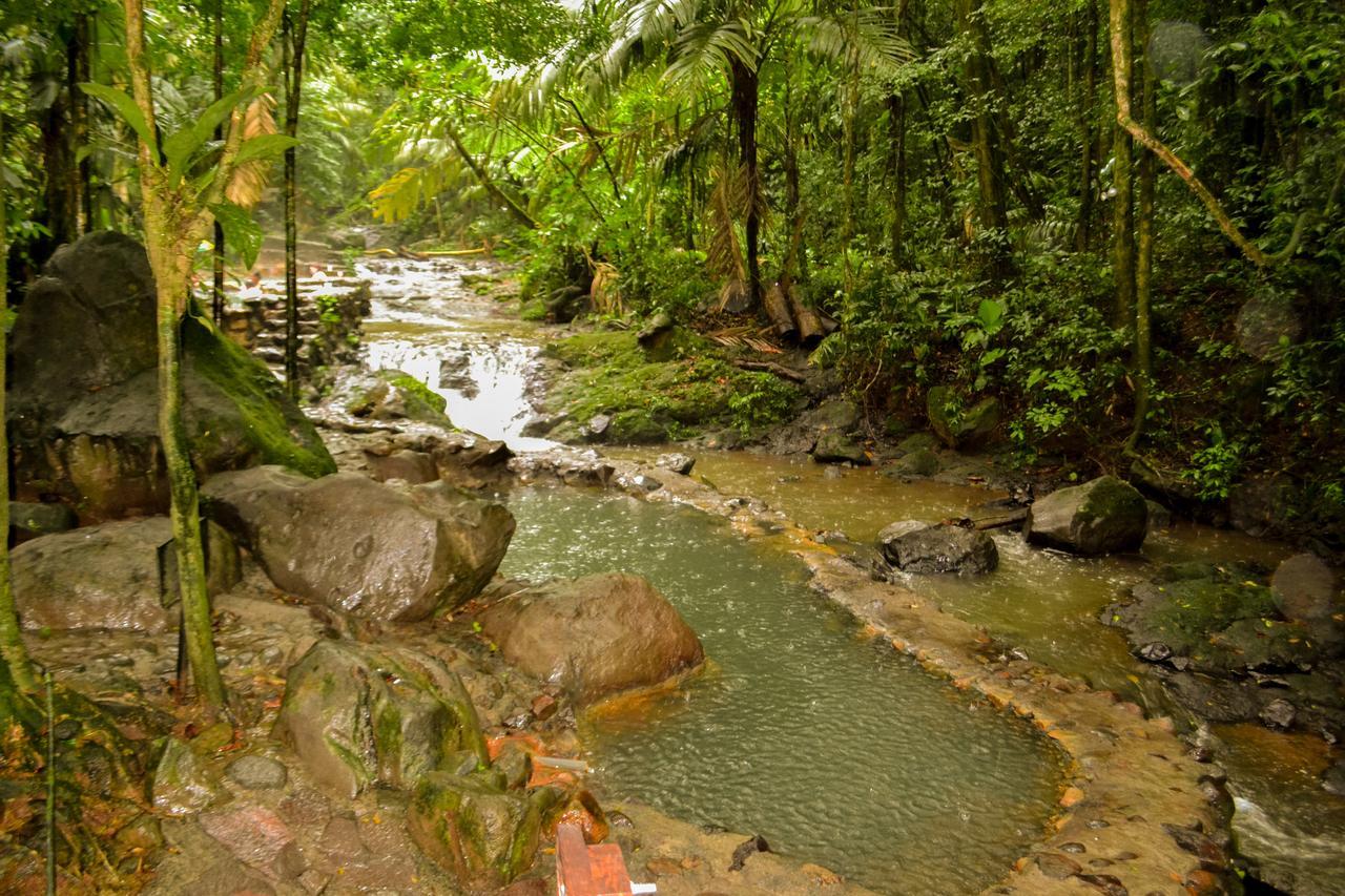 Termales Del Bosque & Hot Springs Hotel La Marina Kültér fotó