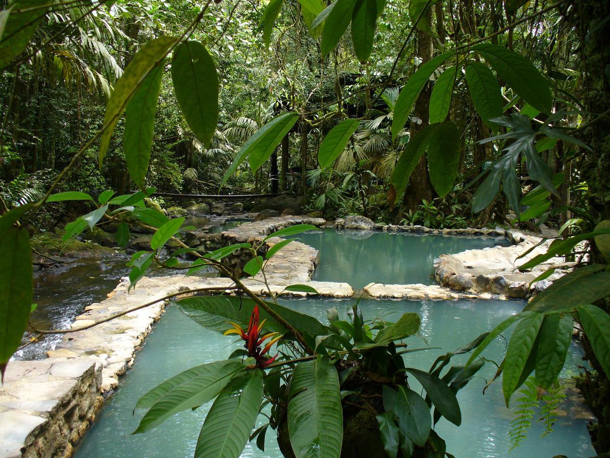 Termales Del Bosque & Hot Springs Hotel La Marina Kültér fotó