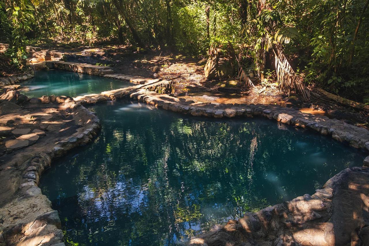 Termales Del Bosque & Hot Springs Hotel La Marina Kültér fotó