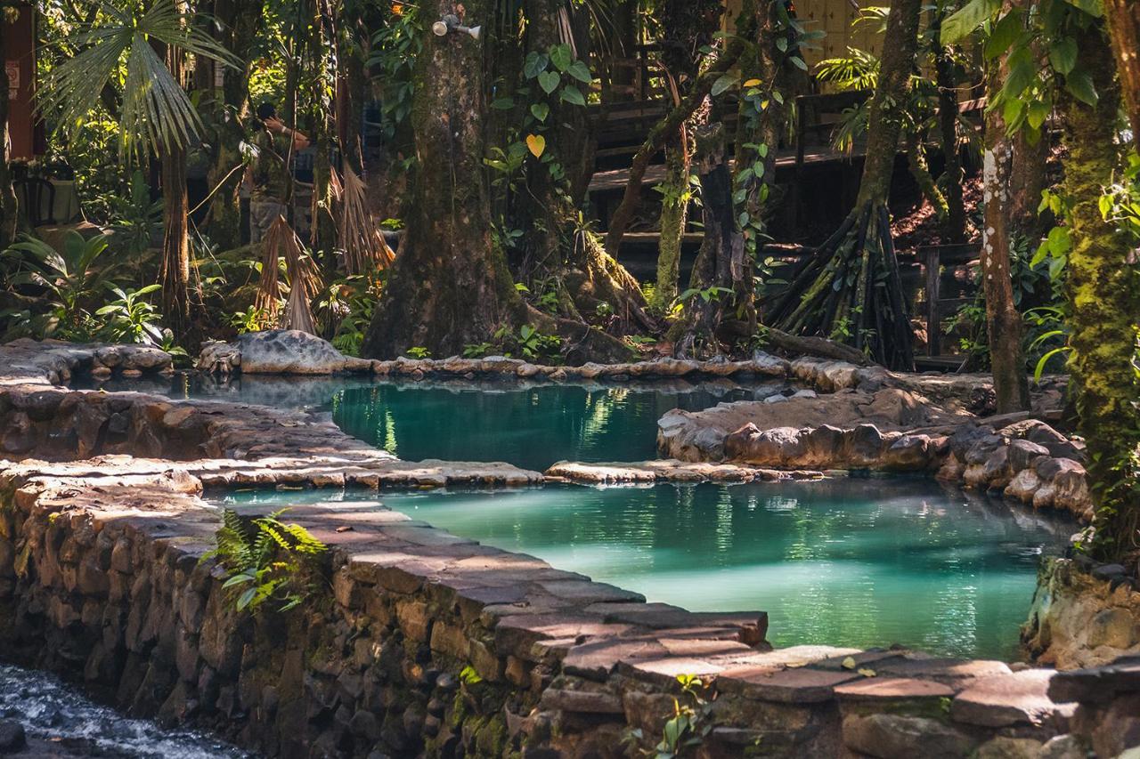 Termales Del Bosque & Hot Springs Hotel La Marina Kültér fotó
