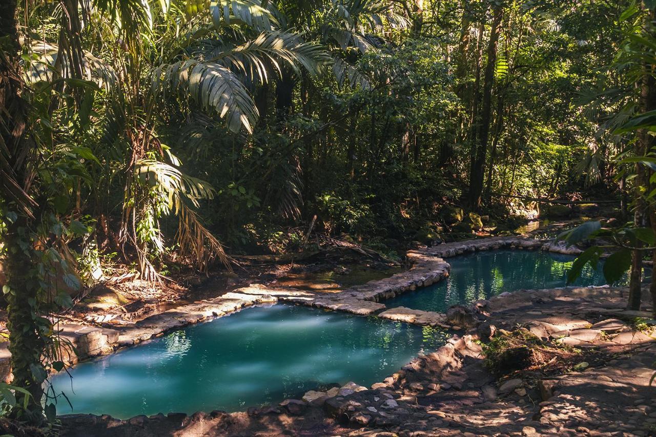 Termales Del Bosque & Hot Springs Hotel La Marina Kültér fotó